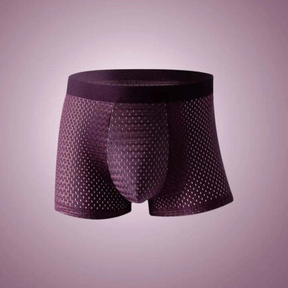 Weston™TM| Boxer En Fibre de Bambou